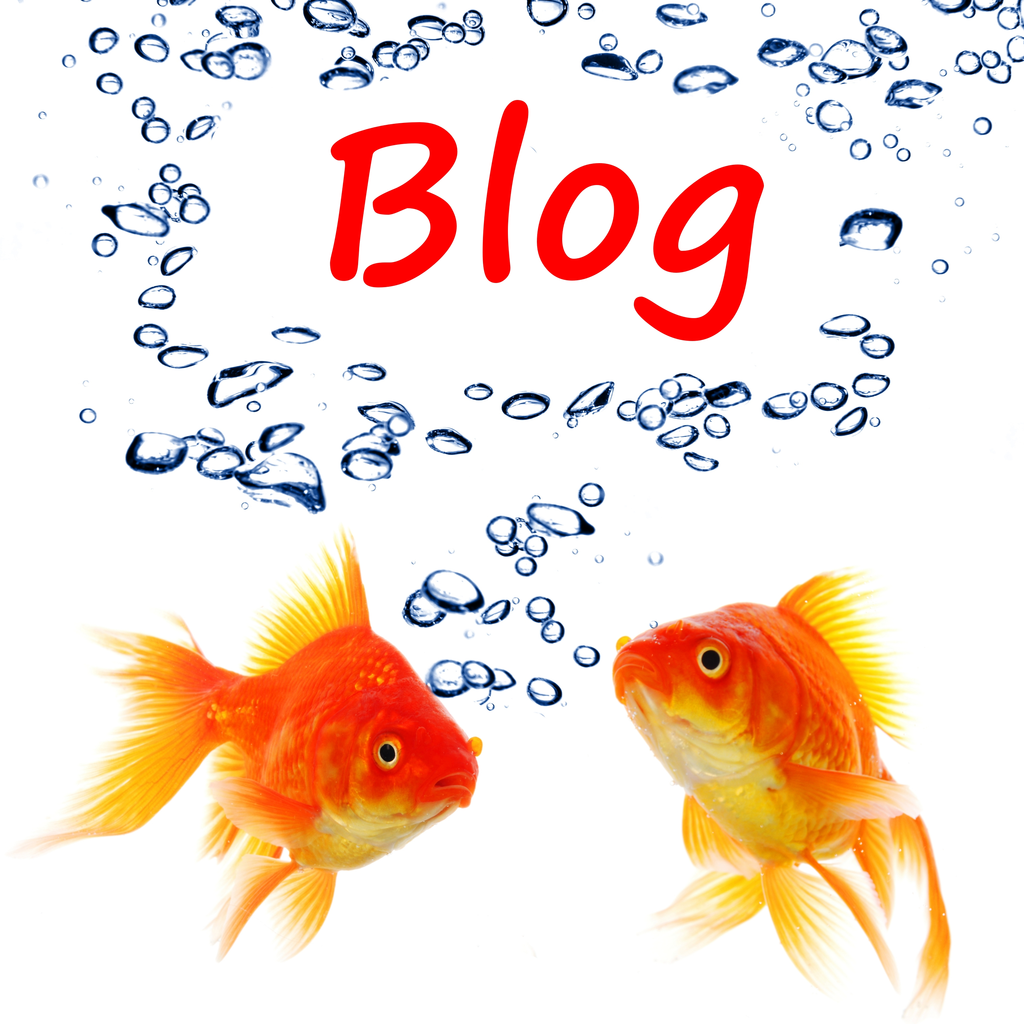 Boostez votre blog avec nos articles sur mesure
