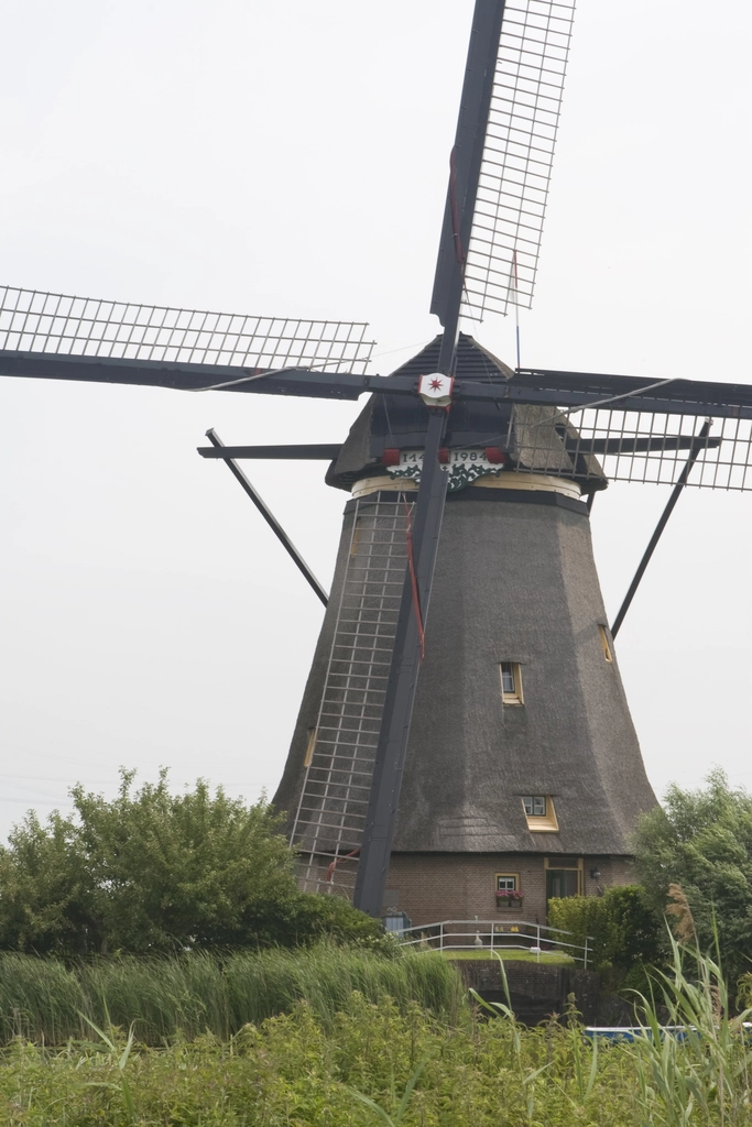 Ontdek de Schoonheid van Nederland met Onze Nederlandse Reisblog