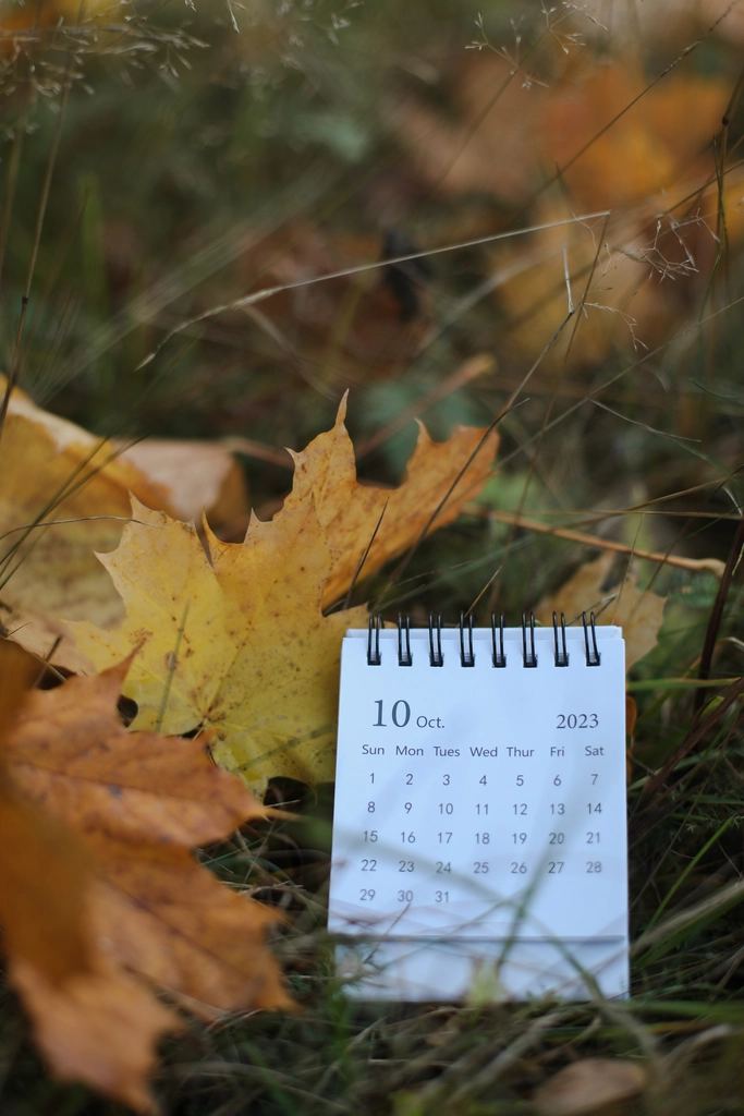 Planen Sie erfolgreich mit dem Content-Kalender 2023!