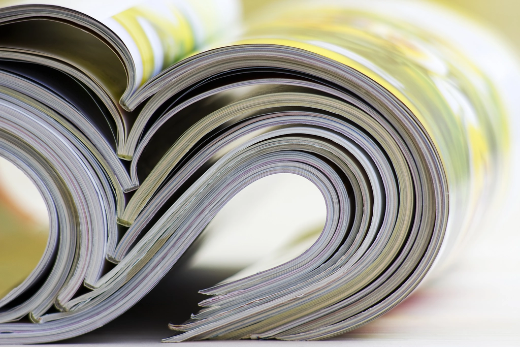 Belangrijk Nieuwsartikel Onthult Intrigerende Informatie