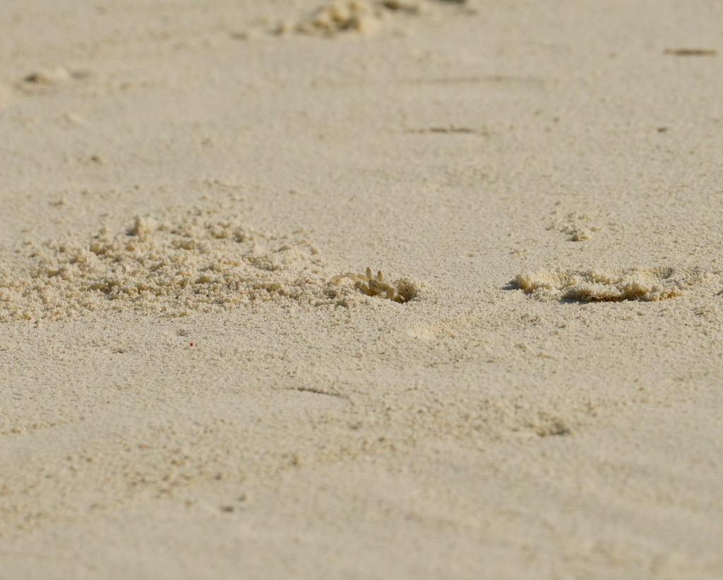 Maximise Your Travel Blog’s Potential with Effective SEO Strategies