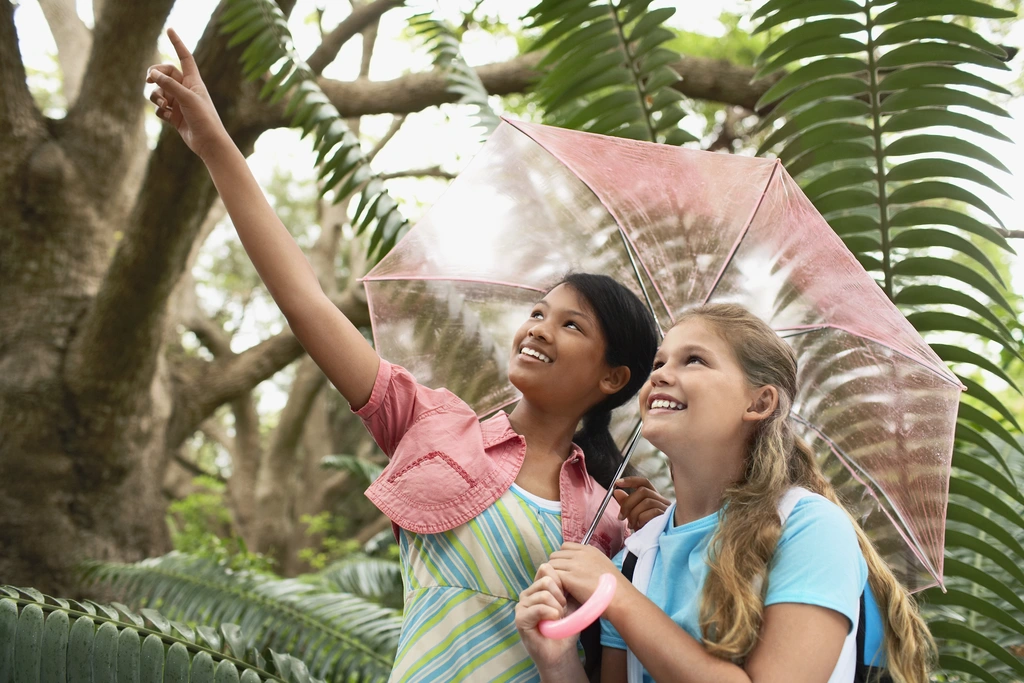 Explorez plus de 10 outils pour rédiger efficacement un article de blog