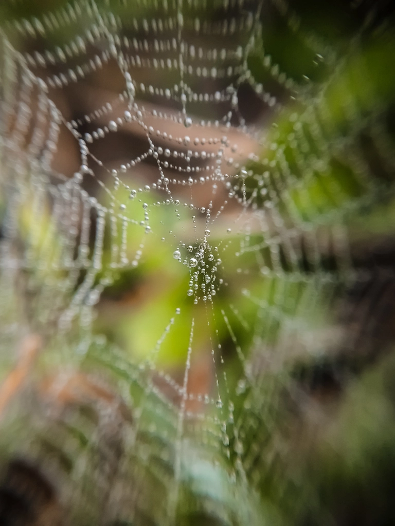 Articles de Blog Essentiels pour le Web Moderne